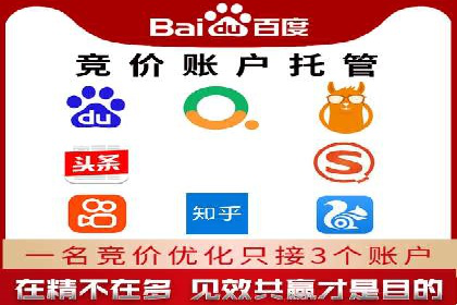 行业领先SEM托管代运营案例